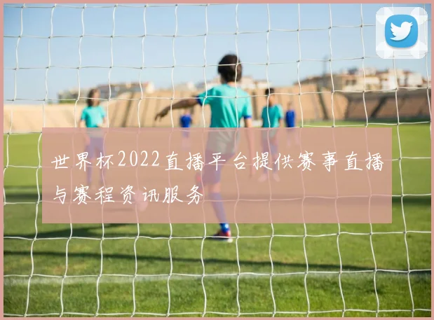 世界杯2022直播平台提供赛事直播与赛程资讯服务