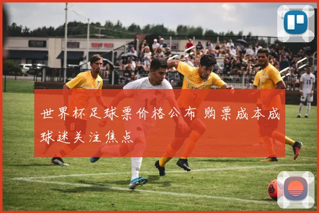 世界杯足球票价格公布 购票成本成球迷关注焦点