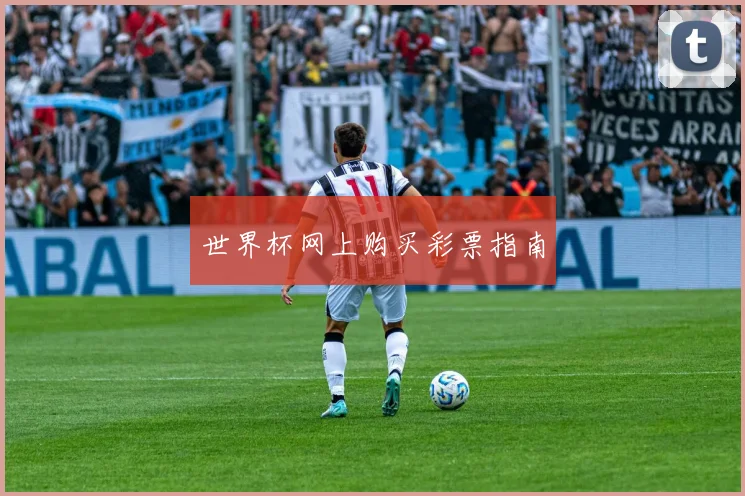 世界杯网上购买彩票指南