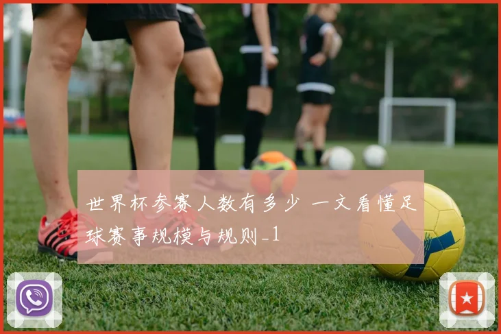 世界杯参赛人数有多少 一文看懂足球赛事规模与规则_1