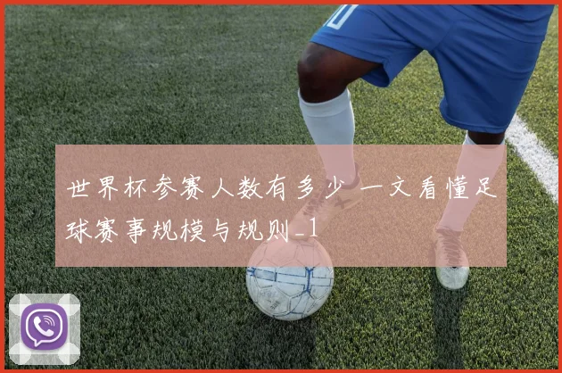 世界杯参赛人数有多少 一文看懂足球赛事规模与规则_1